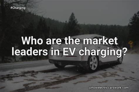 Who is the market leader in EV?