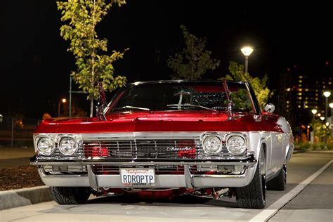 Do Impala Sleep At Night?