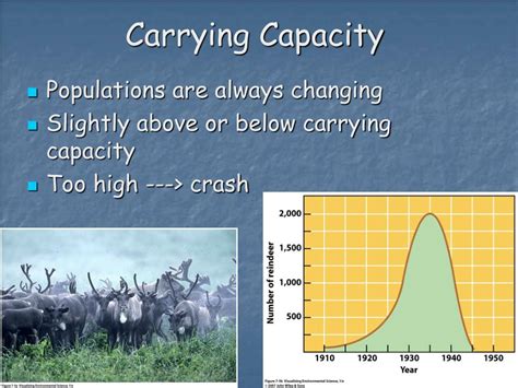 What Does Cargo Carrying Capacity Include?