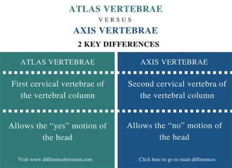 What Is The Difference Between Atlas 2.0 And 3.6 Gas Mileage?