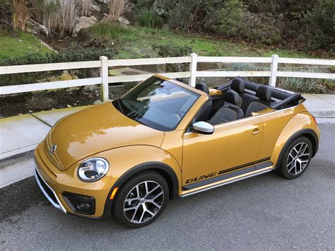 What Is The Dune Edition Beetle?