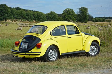 What Is The Rarest VW Bug?