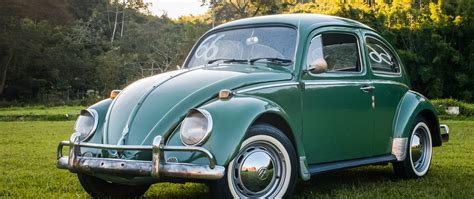 What Is Volkswagen Most Popular Item?