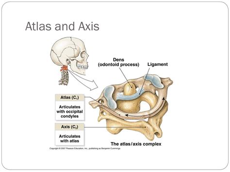 What’s The Difference Between Atlas SE And SEL?