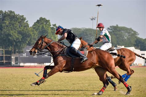 Why Is Polo Famous In India?